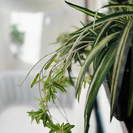 Jacuzzi Holiday home